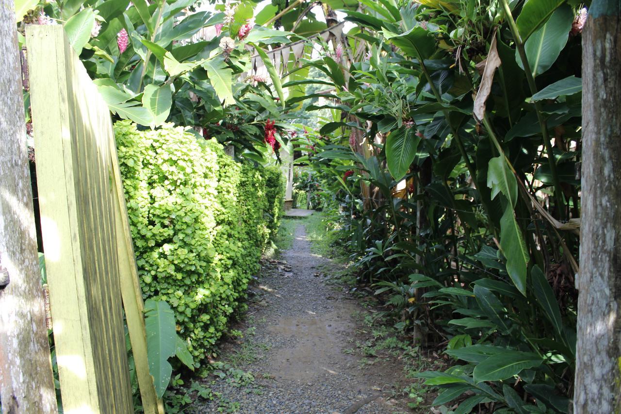 Los Robles Capurgana Hotel Eksteriør billede